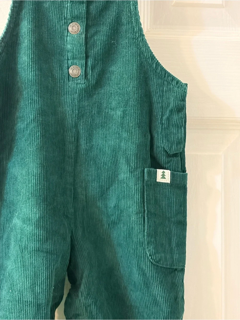 Carters these classic